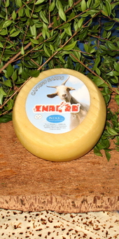 Caprino Sardo