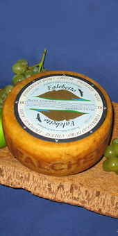 Falchetto