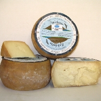 Falchetto