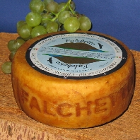 Falchetto
